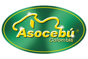 Asocebú